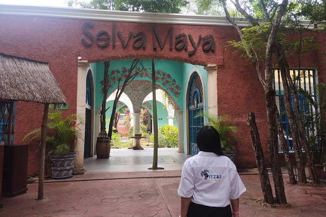 Tour Chichen Itza, Cenote and Valladolid All Inclusive - Practical Details: Group Size, Accessibility, and Cancellation