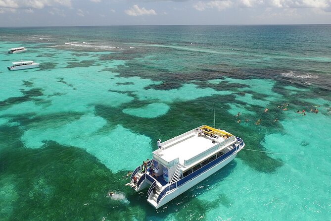 Tour Contoy Magic Island! Round Transportation From Cancun & Playa Del Carmen - The Unique Highlights of Isla Contoy and Isla Mujeres