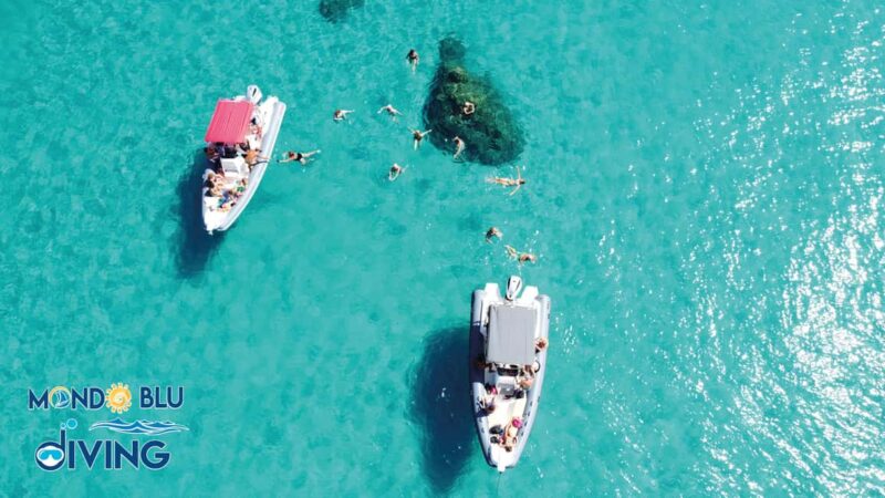 Tour Costa degli Dei: il meglio che puoi trovare. - Tropea’s Charm and Marine Life Viewing