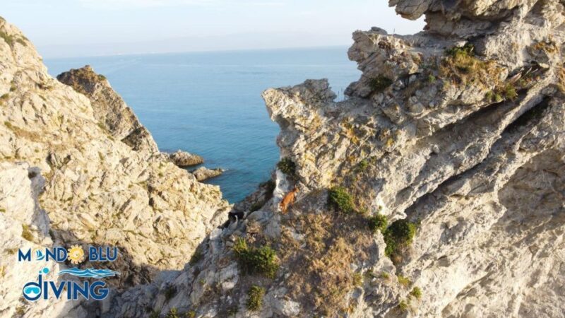 Tour Costa degli Dei: il meglio che puoi trovare. - Frequently Asked Questions