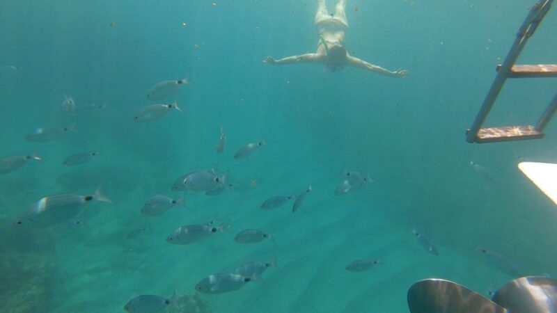 Tour da Avola A Portopalo con sosta e visita a Marzamemi - Explore Sicily’s Coastal Charm on the Avola to Portopalo Boat Tour