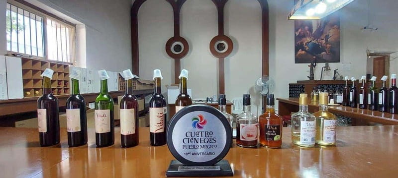 TOUR "Dunas de yeso" + Guía + Traslados - Visiting the Blue Pond: A Living Ecosystem of Turquoise Waters