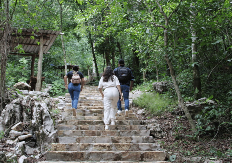 Tour: Edward James Sculpture Garden and Sótano de Huahuas - Wildlife Viewing: The Birds Mesmerizing Return