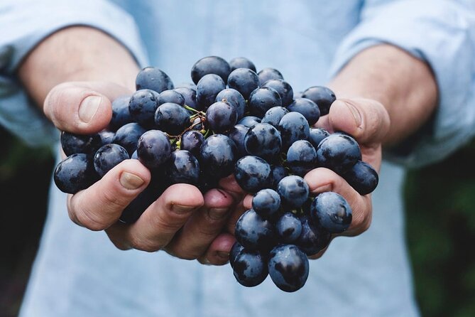 Tour Etna & Wine Tasting - Mount Etna: The Main Attraction of the Tour