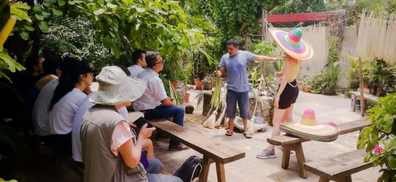 Tour from Mérida to Campeche: Jipijapa hat, history, regional food. - Bécal and the Craft of Jipijapa Hats