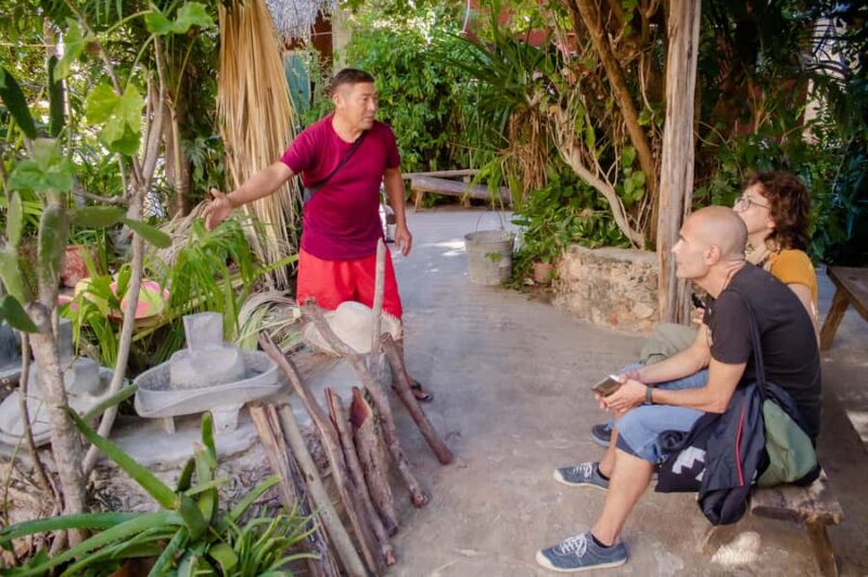 Tour from Mérida to Campeche: Jipijapa hat, history, regional food. - Who Will Appreciate This Tour Most?