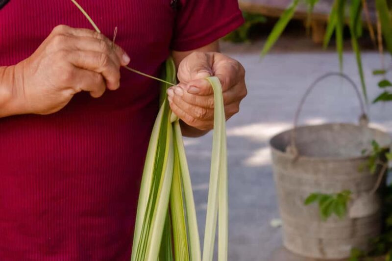 Tour from Mérida to Campeche: Jipijapa hat, history, regional food. - Campeche’s Historic Charm and Cultural Riches