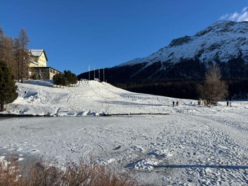 Tour from Milan: Tirano and the famous Red Train to Saint Moritz - Excellent Reviews Highlight Guide and Views