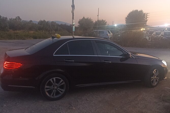 Tour from Nafplio to Mucenae and Epidaurus - Who Should Consider This Tour?