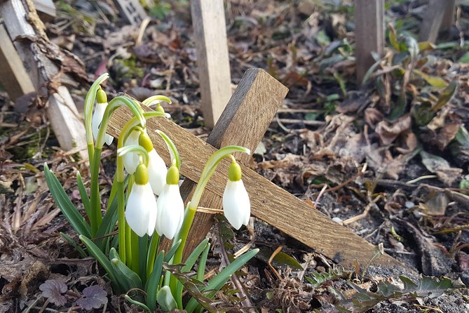 Tour from Riga - Vilnius via Bauska, Rundale, The Hill of Crosses - Logistical Comfort and Group Size