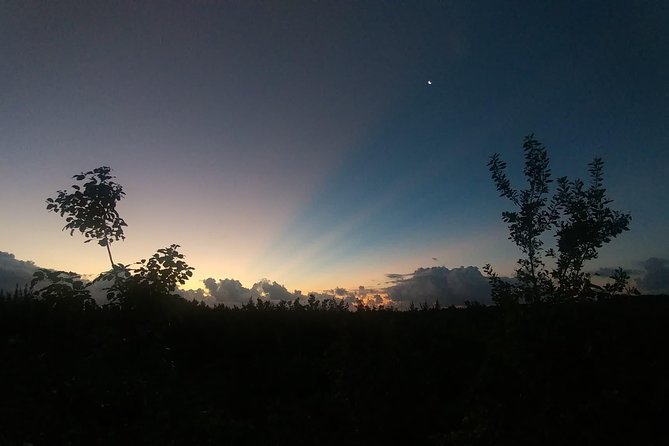 Tour Herpetologico - Meeting Point and Tour Logistics in Puerto Morelos