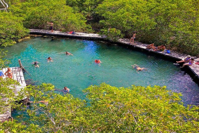 Tour Holbox Plus (Isla Pasion & Cenote) Departures from Cancun - The Review and Overall Impression