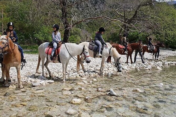 Tour in Acheron River - Who Will Enjoy This Tour Most?