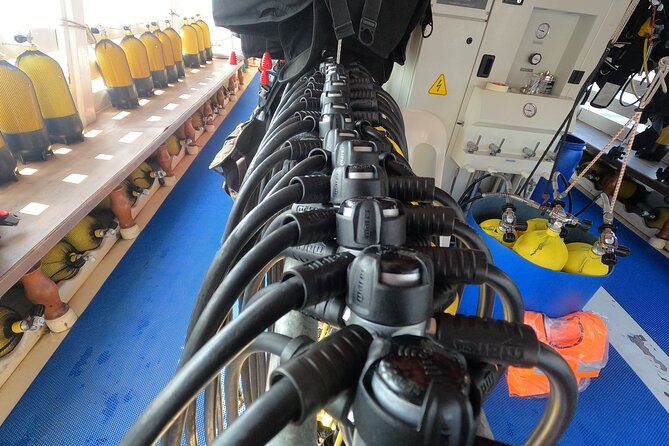 Tour in Alanya with Lunch and Guided Scuba Dives from Side - Discover the Best of Alanya’s Underwater World with Guided Scuba Dives from Side