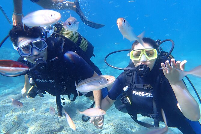 Tour in Alanya with Lunch and Guided Scuba Dives from Side - Key Points