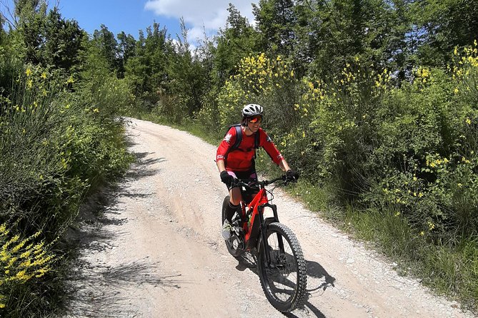 Tour in eBike Riserva Gola del Furlo and Tartufo - The Value and Overall Experience