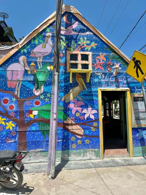Tour in Italian in Holbox - Discovering Holbox Town’s Colorful Streets
