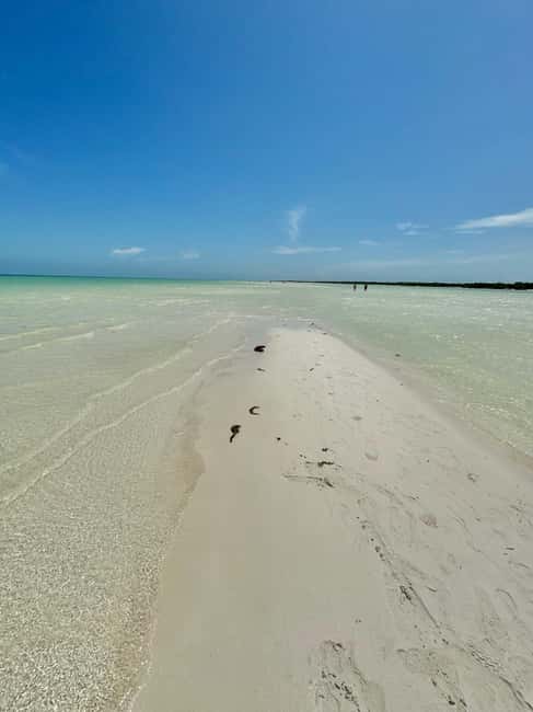 Tour in Italian in Holbox - Returning to Playa del Carmen with Water and Land Transport
