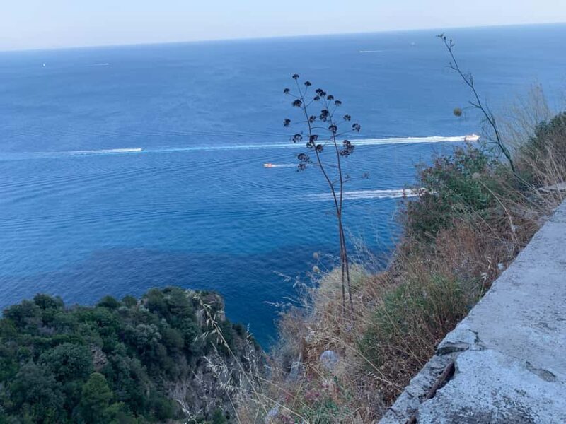 Tour in Minivan Mercedes to Sorrento & Pompeii - Final Thoughts on this Sorrento & Pompeii Tour