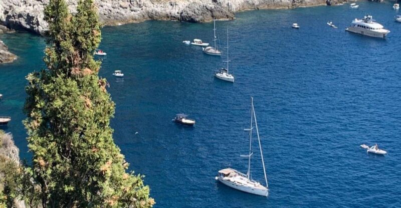 Tour in Minivan Mercedes to Sorrento & Pompeii - Frequently Asked Questions