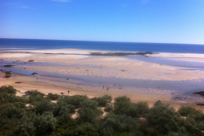 Tour in Paradise: Ria Formosa - Logistics and Practical Details