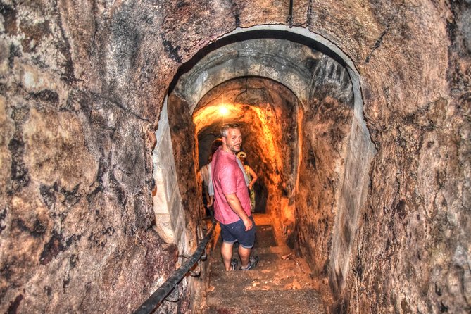 Tour in Ribera del Duero "like a native", with traditional Spanish tapas - Discover Ribera del Duero Like a Local with Private Wineries and Tapas