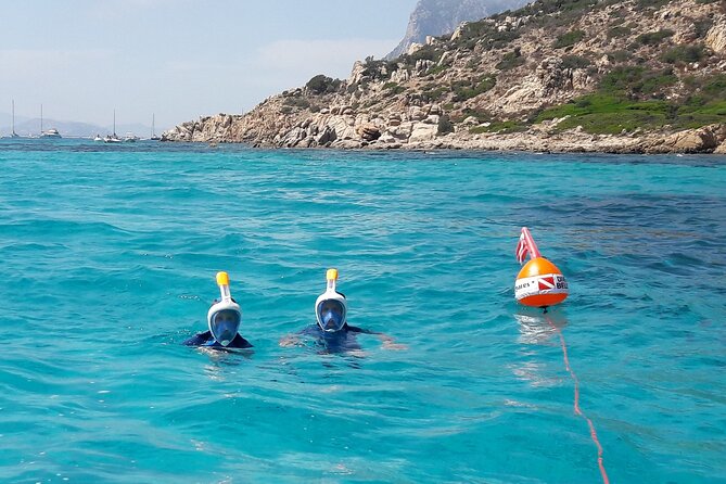 Tour in rubber dinghy and snorkeling in the Protected Marine Area of Tavolara - The Comfort and Safety of the Rubber Dinghy
