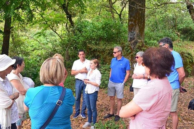 Tour in San Sebastian del Oeste - Authentic Mexican Meal at a Local Restaurant