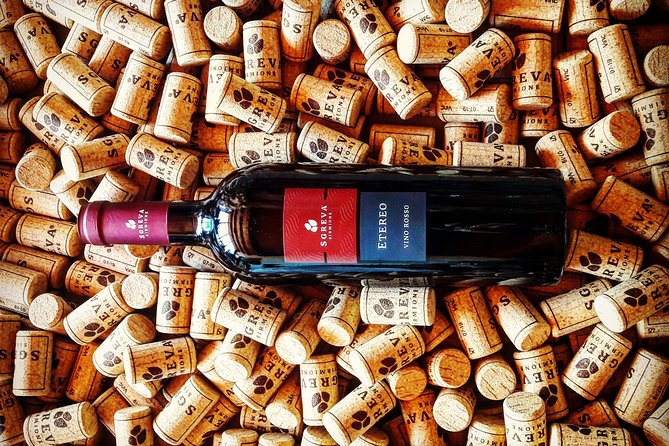 Tour in the Winery and tasting - Tasting Four Wines Paired with Local Food