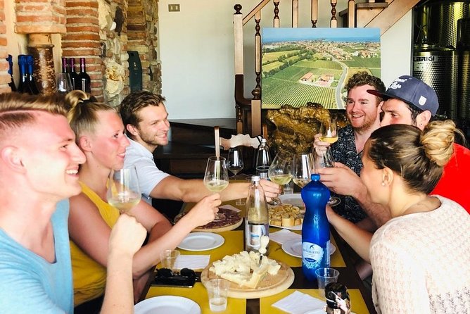 Tour in the Winery and tasting - Guided by Knowledgeable and Passionate Hosts