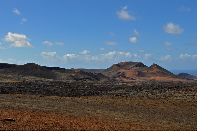 Tour Lanzarote South with Winery Visit - Who Will Enjoy This Tour Most?