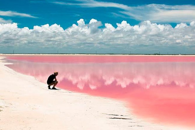 Tour Las Coloradas! Amazing Pink Lake Round Transportation from Tulum - Practical Details: Meeting Point, Timing, and Transportation