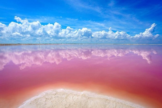 Tour Las Coloradas - The Pink Lagoon at Las Coloradas: A Natural Marvel