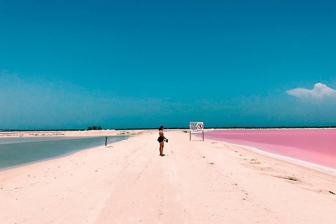 Tour Las Coloradas & Rio Lagartos only from Tulum - Key Points