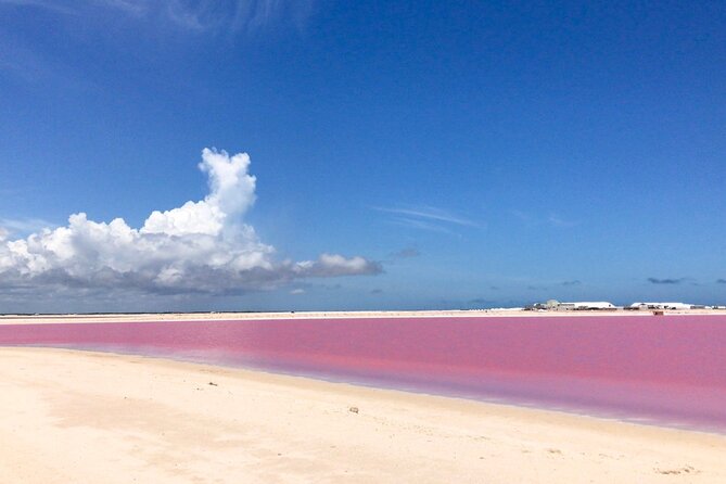 Tour Las Coloradas & Rio Lagartos only from Tulum - The Guided Boat Ride Through Mangroves