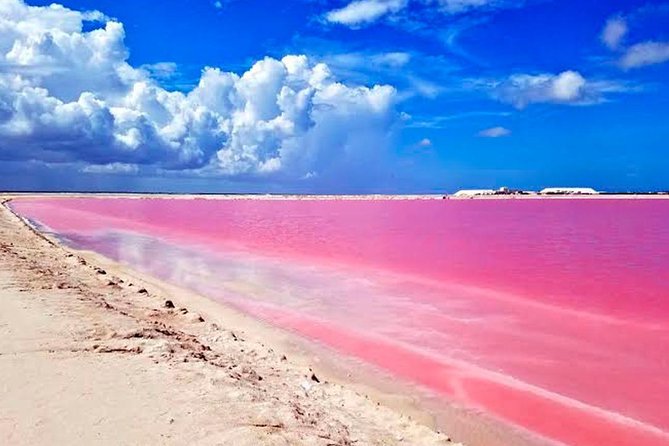 Tour Las Coloradas & Rio Lagartos only from Tulum - Local Gastronomy and Seafood Experience