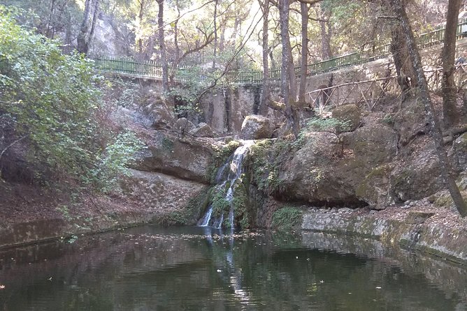 Tour & learn - Discovering the Wonders of the Bee Museum