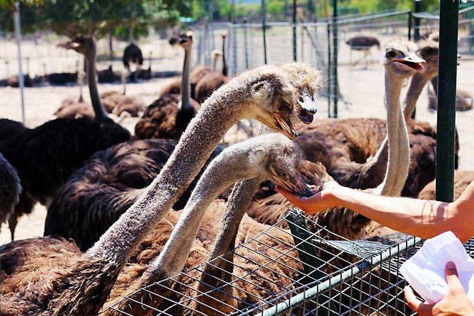 Tour & learn - Walking Quietly Through the Valley of Butterflies