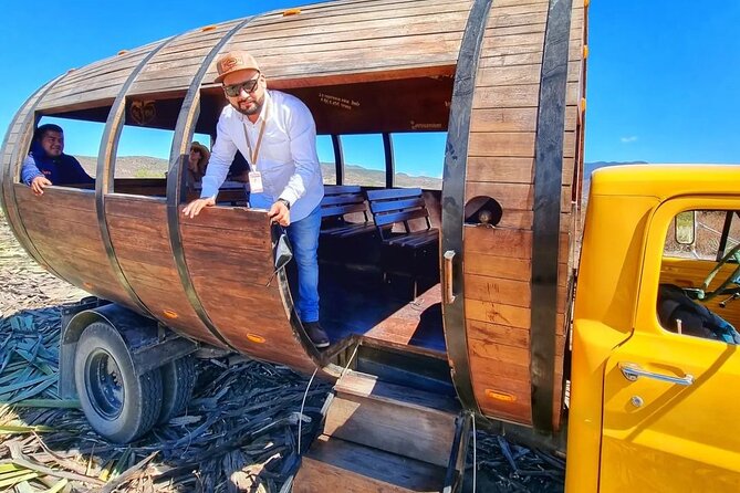 Tour Monte Albán, Hierve el agua, Teotitlán Del Valle and Mezcal - How the Tour Combines Archaeology and Natural Wonders