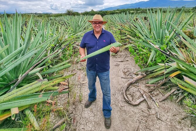 Tour Monte Albán, Hierve el agua, Teotitlán Del Valle and Mezcal - Practical Considerations and Pacing