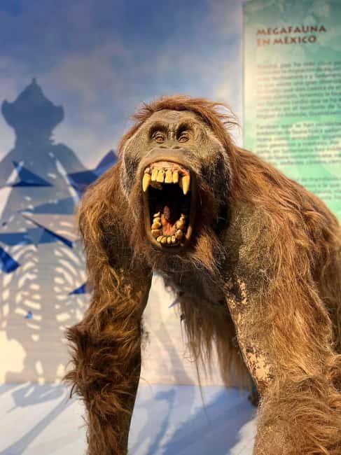 TOUR "Museo del Desierto" + Traslados + Tickets incluidos - The Museum of Birds: A Naturalist Addition