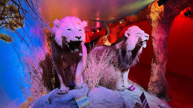 TOUR "Museo del Desierto" + Traslados + Tickets incluidos - Logistics and Transportation: Convenience and Comfort