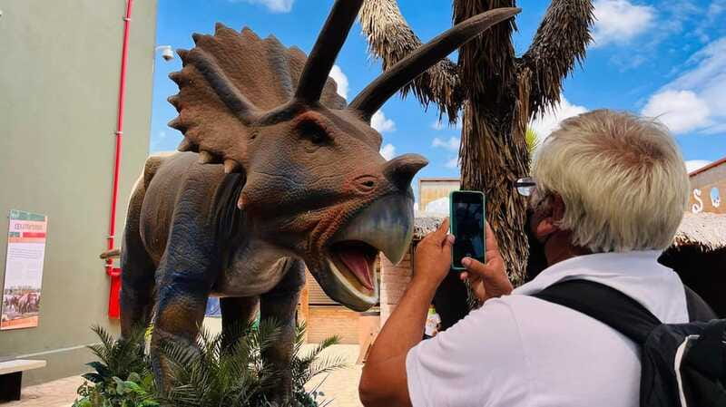 TOUR "Museo del Desierto" + Traslados + Tickets incluidos - The Experience Guide: A Spanish-Language Tour
