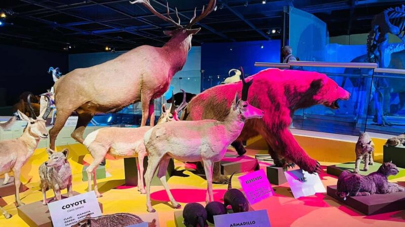 TOUR "Museo del Desierto" + Traslados + Tickets incluidos - Comparing Similar Tours in Monterrey