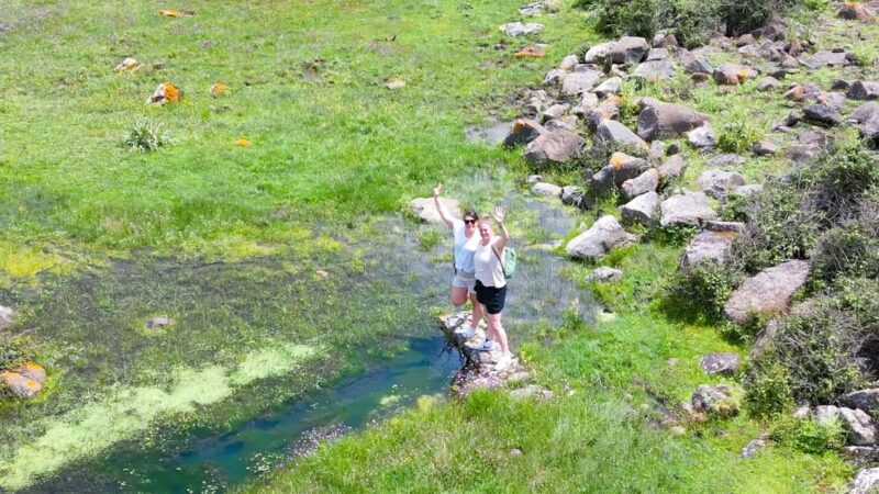 Tour Nature & Wildlife from Cagliari - Practical Information: Booking and Group Size