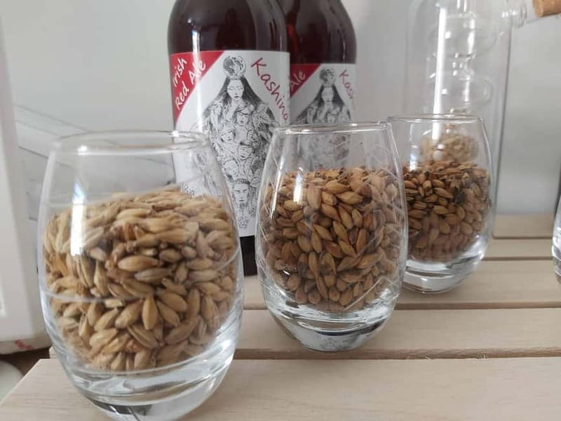 Tour of a craft brewery with tasting - Meet the Master Brewer and Learn Their Story