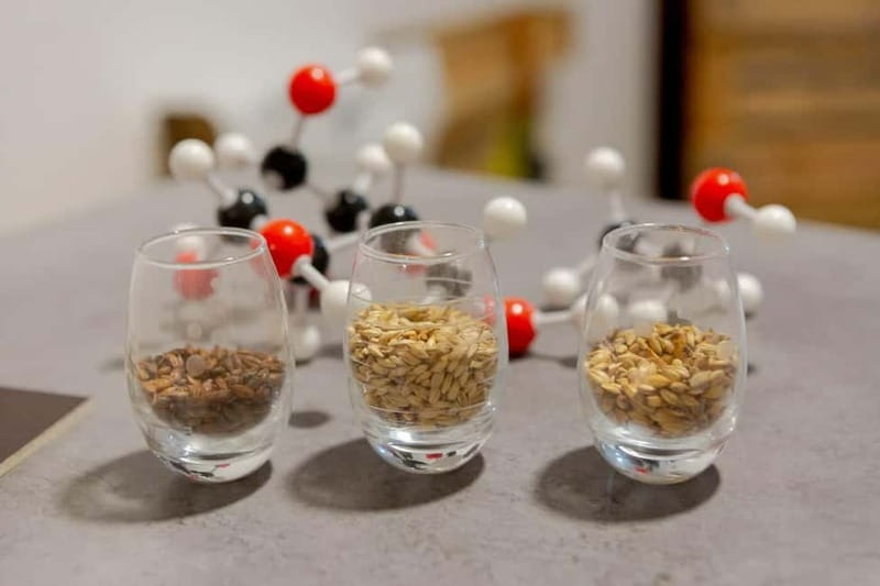 Tour of a craft brewery with tasting - Practical Details and Booking Information