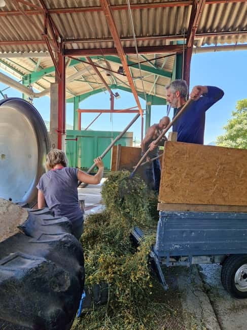 Tour of a family-run lavender essential oil distillery - Discover a Family-Run Lavender Essential Oil Distillery in France
