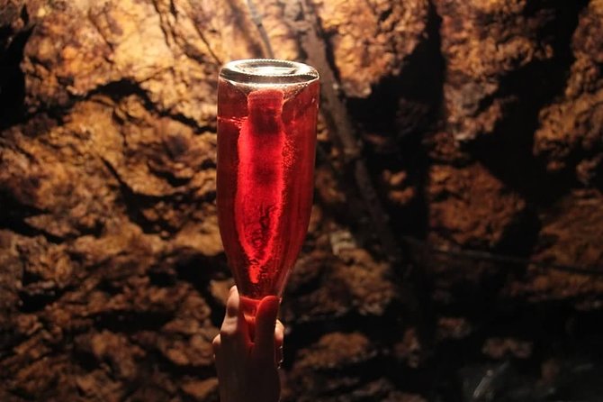 Tour of a Vineyard, Winery & Cellar with Wine Tasting in Vouvray, Loire Valley - Accessibility and Practical Tips