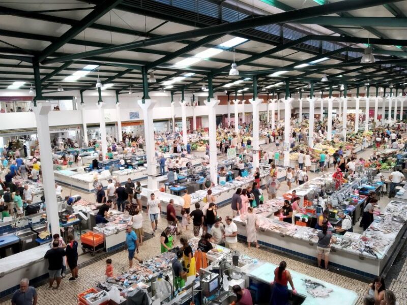 Tour of Arrábida and beautiful landscapes and wine tasting - Key Points